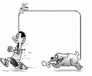 昨天下班，在回家路上被狗追！